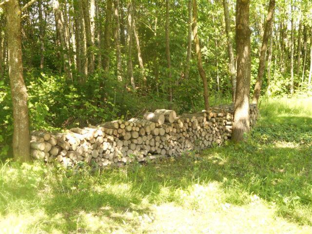Camping Les Arbois Hotel Montjay  Exterior photo